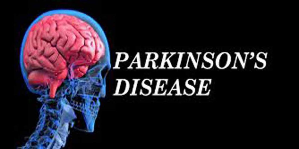 A novel tool to help gain deeper insight into Parkinson’s disease