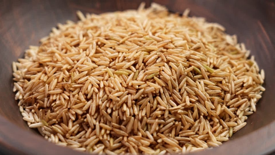 डायबिटीज़ से लड़ेगा भारत का हाई-प्रोटीन डिज़ाइनर चावल